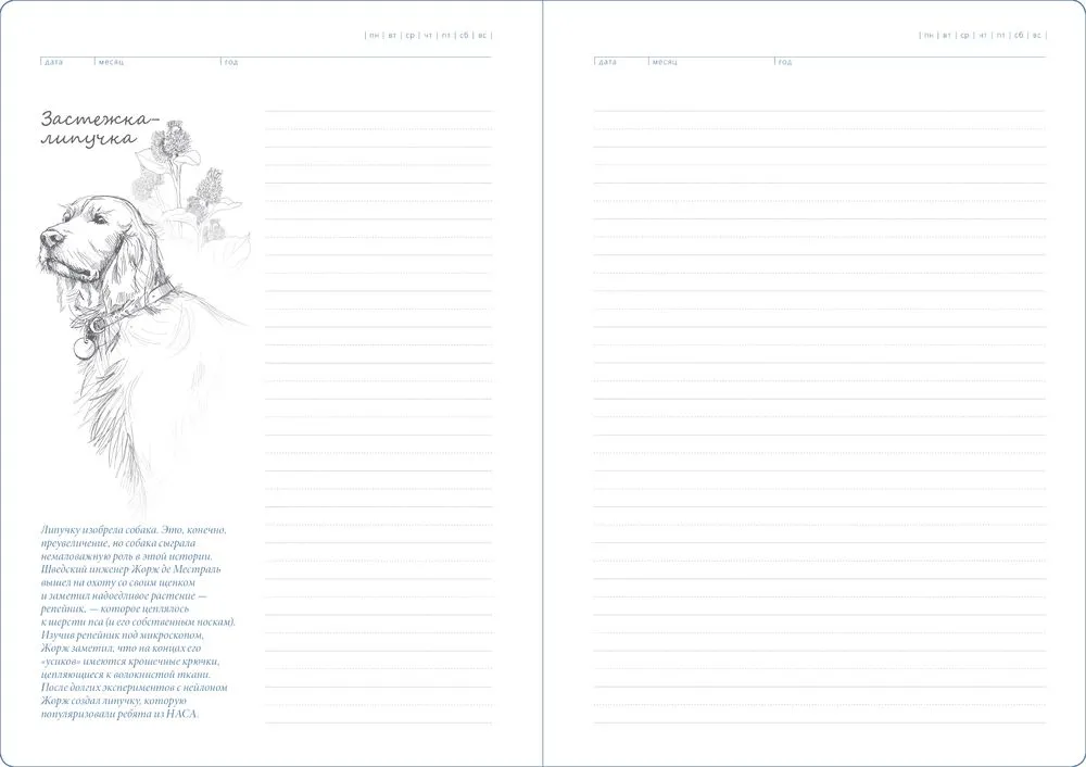 Ежедневник "История изобретений", недатированный, белый