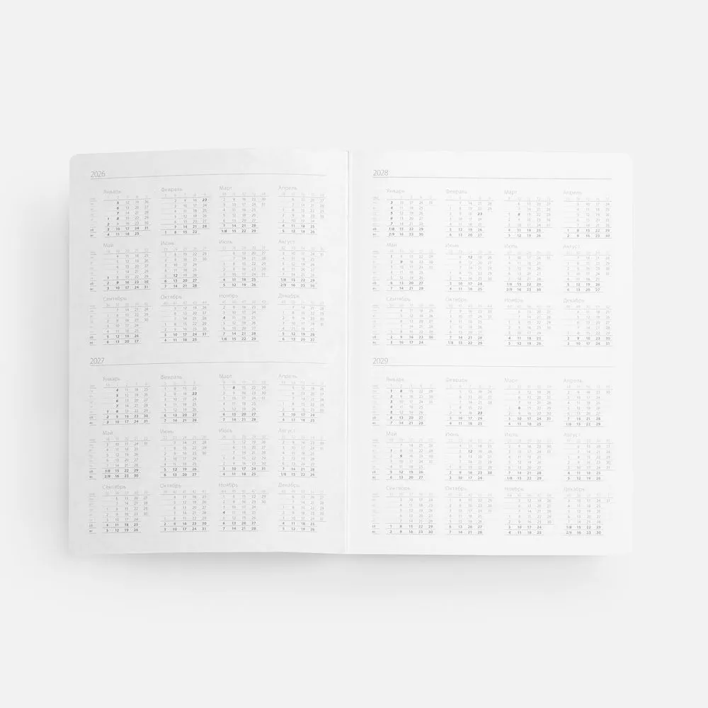 Ежедневник Nebraska Flex, недатированный, синий с серебром