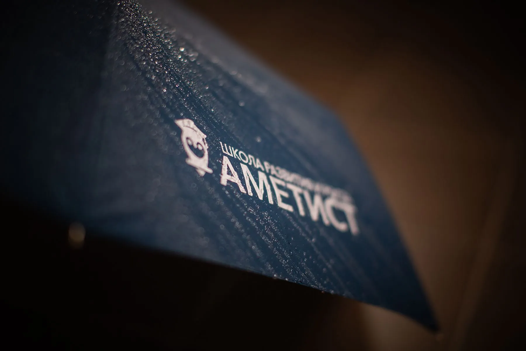 Сувениры для Аметист