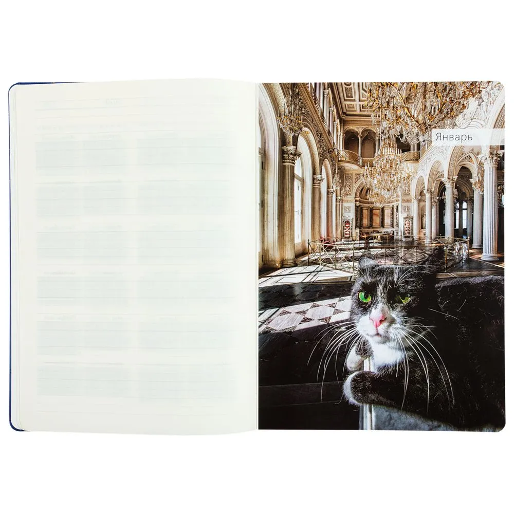 Ежедневник "Эрмитажные коты", синий, уценка