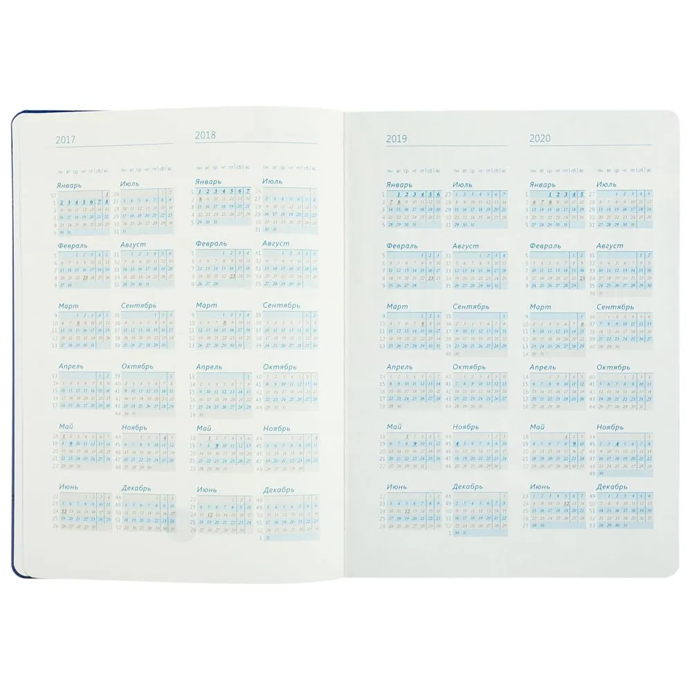 Ежедневник "Эрмитажные коты", синий, уценка