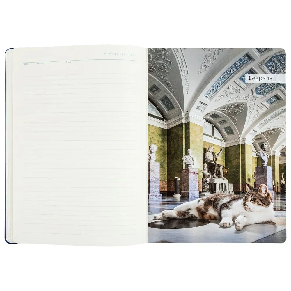 Ежедневник "Эрмитажные коты", синий, уценка