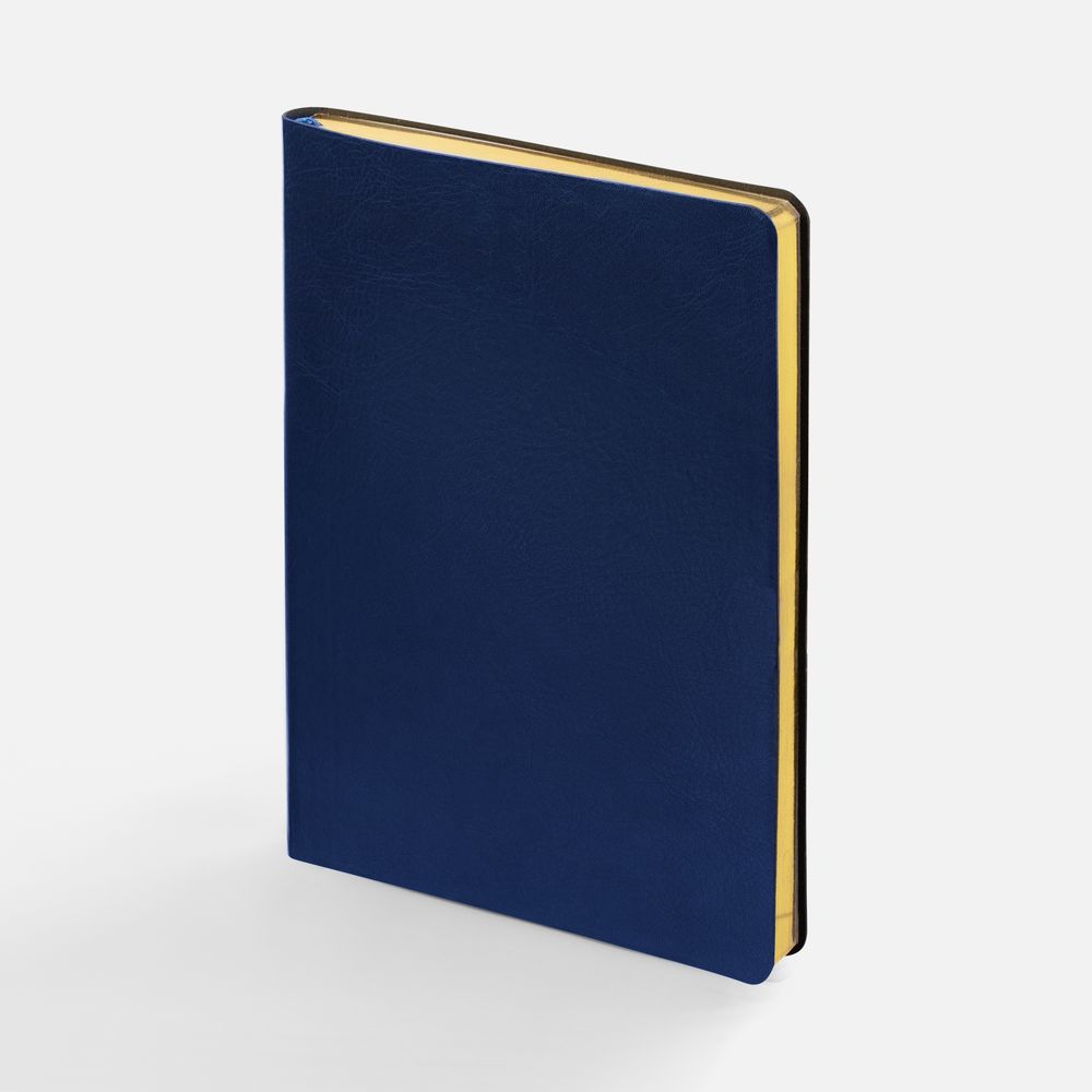 Ежедневник Nebraska Flex, недатированный, синий с золотистым с логотипом