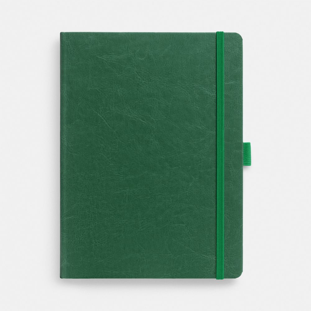 Еженедельник Lucky, недатированный, зеленый с логотипом