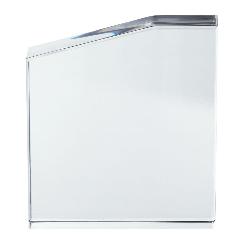 Награда «Точка опоры» с логотипом