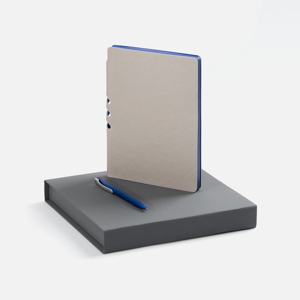 Набор Flexpen Grey, синий с логотипом