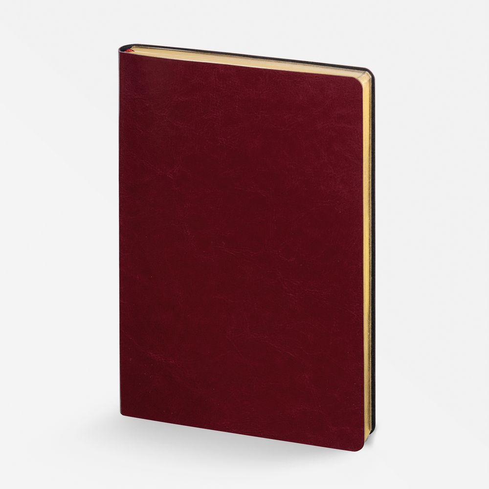 Ежедневник Nebraska Flex, недатированный, бордовый с золотистым с логотипом