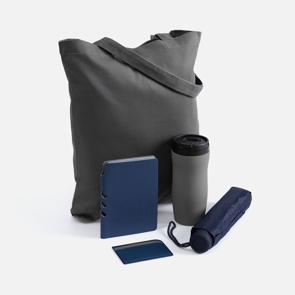 Набор Dual Umbrella, синий с логотипом