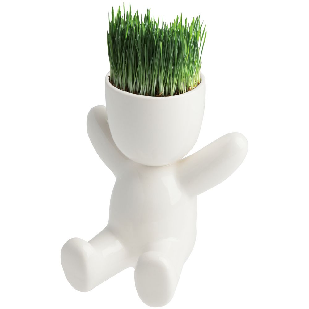 Набор для выращивания Funky Kid с логотипом