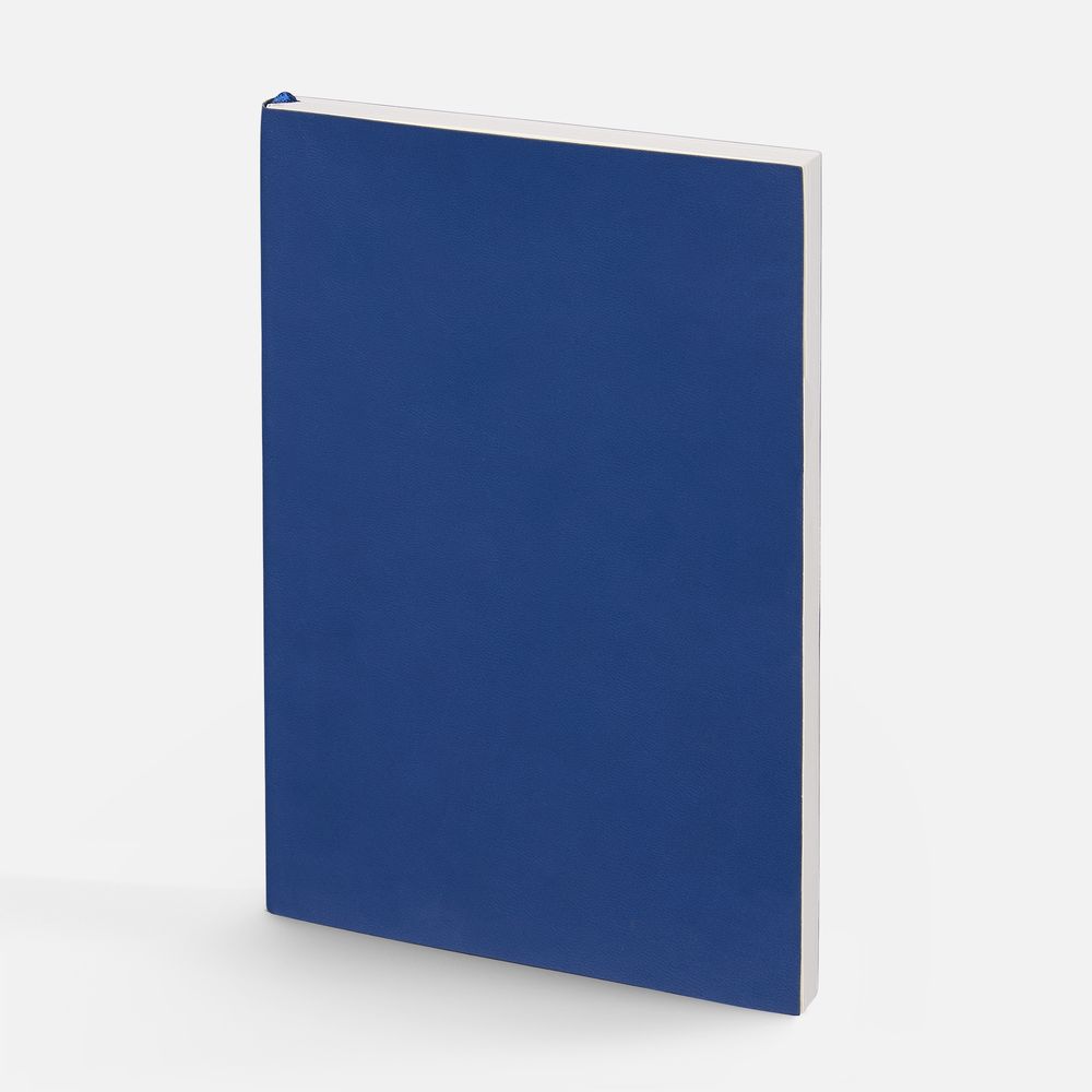 Ежедневник Flat Light ver.2, недатированный, синий с логотипом