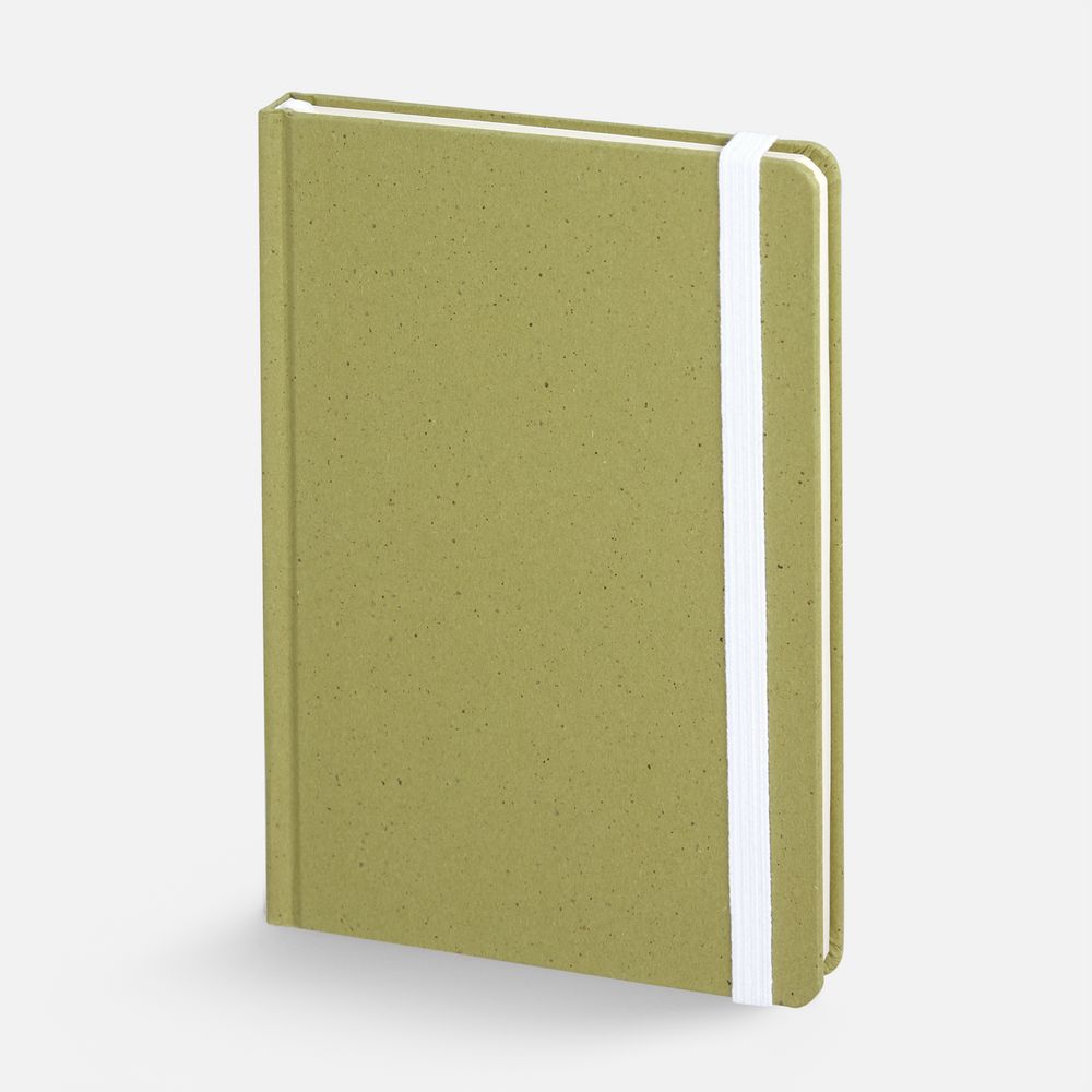 Блокнот Lactonica, зеленый с логотипом