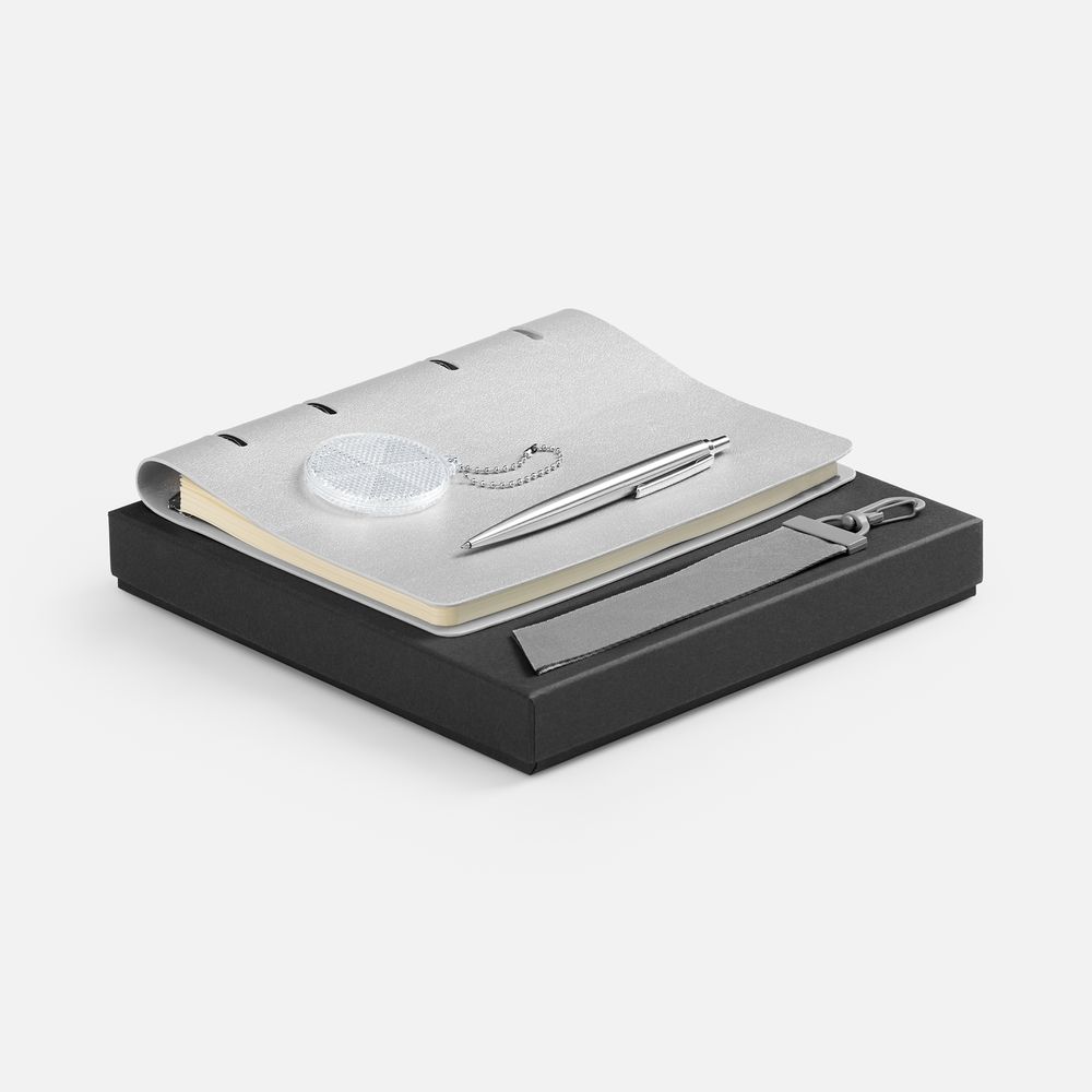 Набор Ringo, серебристый с логотипом