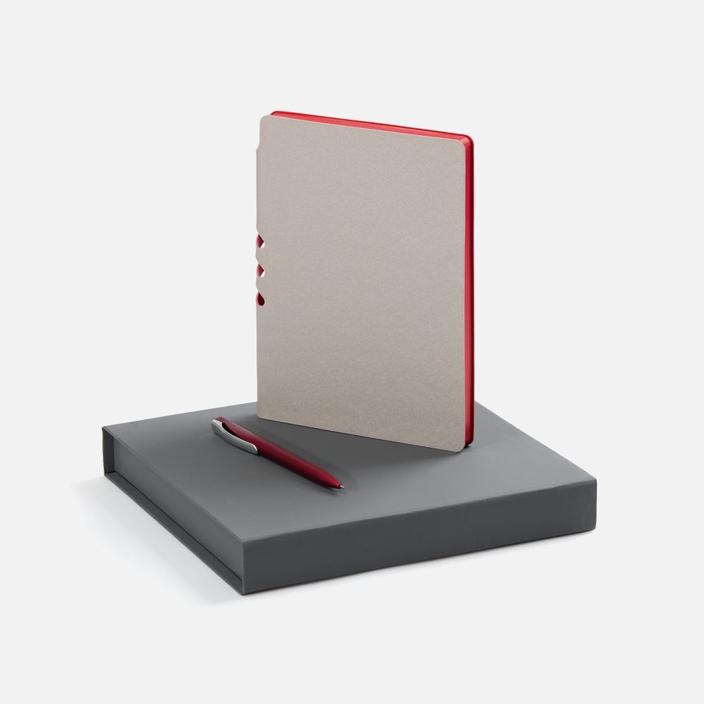 Набор Flexpen Grey, красный с логотипом