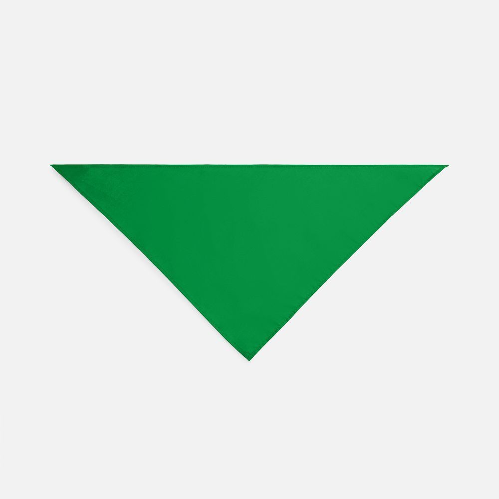 Аксессуары с печатью логотипа. Шейный платок Bandana по цене 179 ₽ руб. (артикул 01198272TUN) Шейный платок Bandana, ярко-зеленый