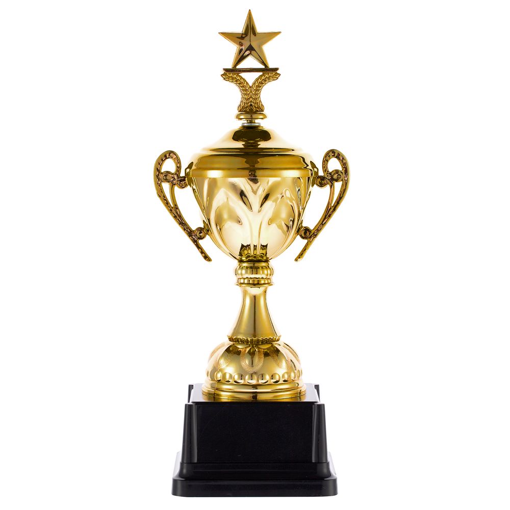 Кубок Top Star, золотистый с логотипом