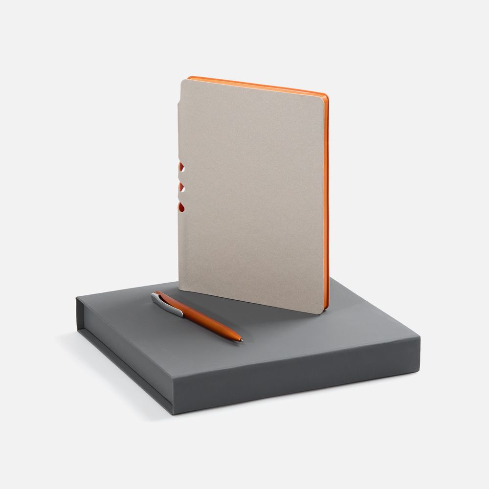 Набор Flexpen Grey, оранжевый с логотипом