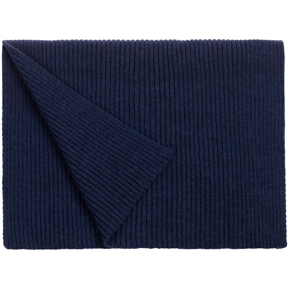 Шарф Alpine, синий с логотипом