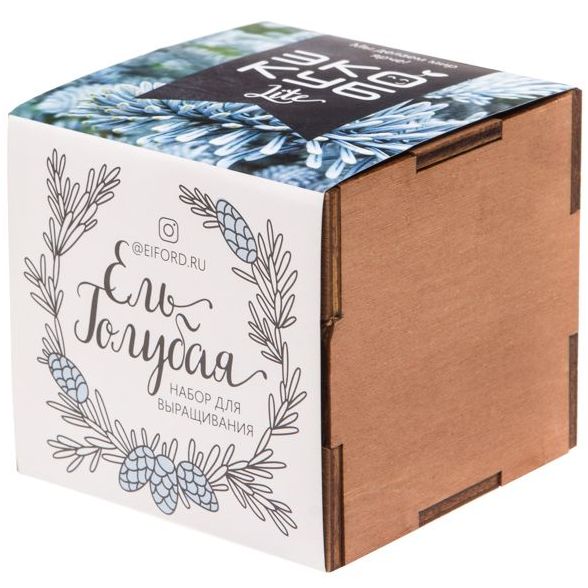 Набор для выращивания «Экокуб Lite», ель голубая с логотипом