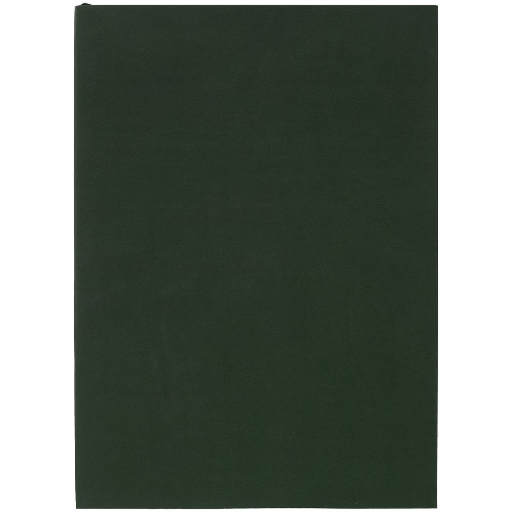 Ежедневник Flat Light, недатированный, зеленый с логотипом