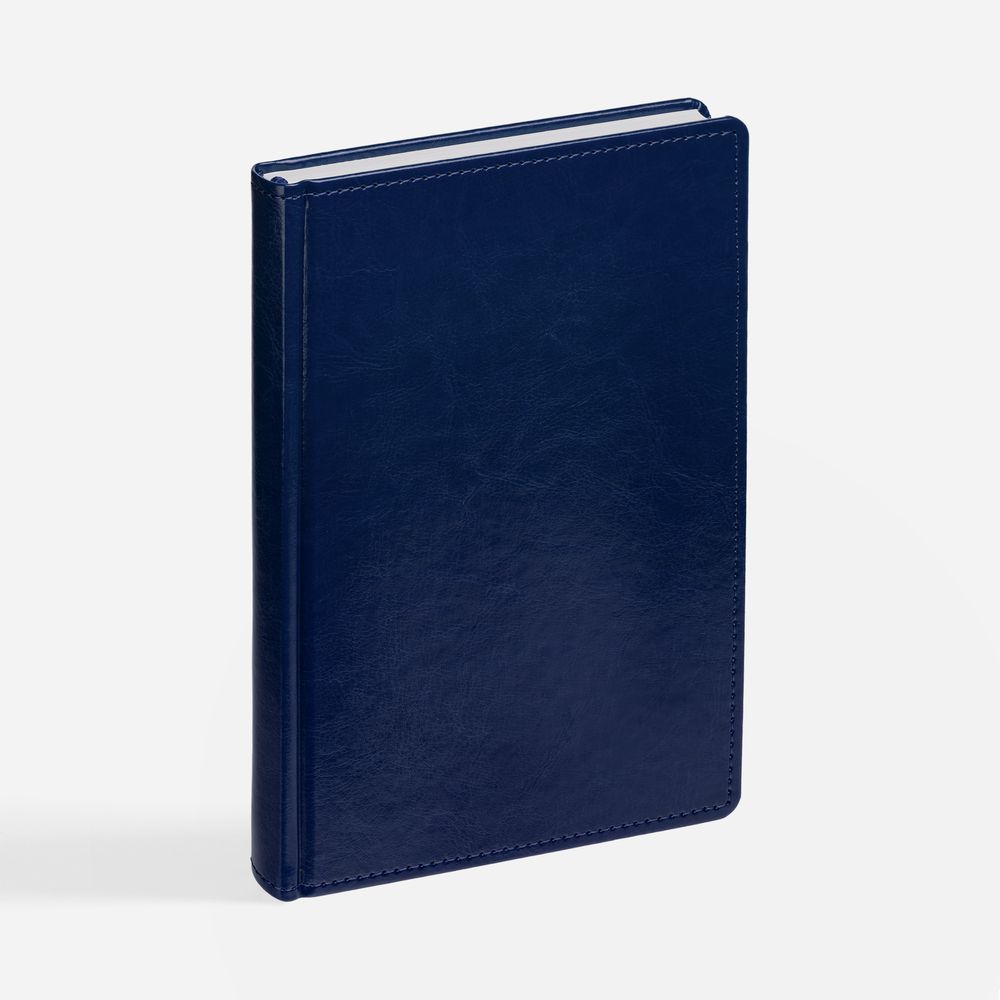 Ежедневник New Nebraska, датированный, синий с логотипом