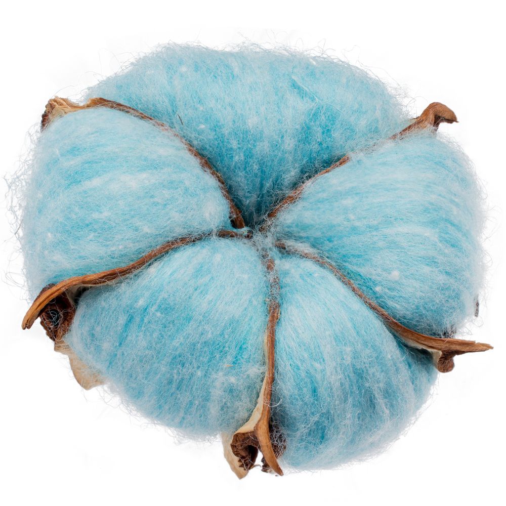 Цветок хлопка Cotton, голубой с логотипом