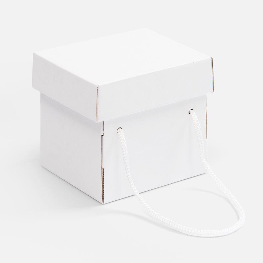 Коробка Kitbag, ver.2, белая с логотипом