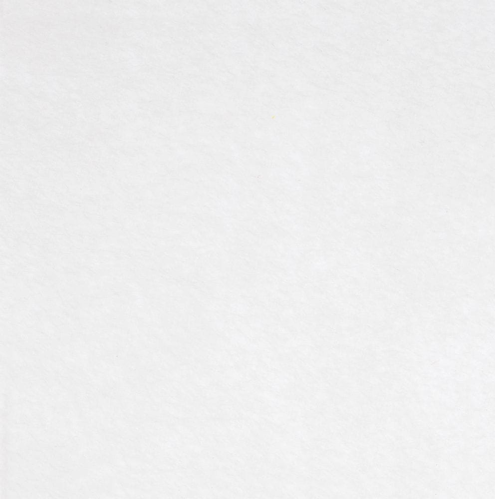 Заготовка из фетра Felt 100, белая с логотипом