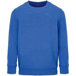 Свитшот детский Columbia Kids, ярко-синий (royal) с логотипом