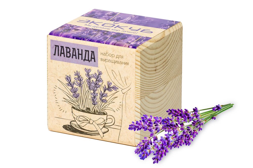 Набор для выращивания «Экокуб», лаванда с логотипом
