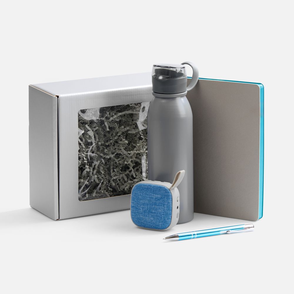 Набор Flexpen Flow, серый с бирюзовым с логотипом