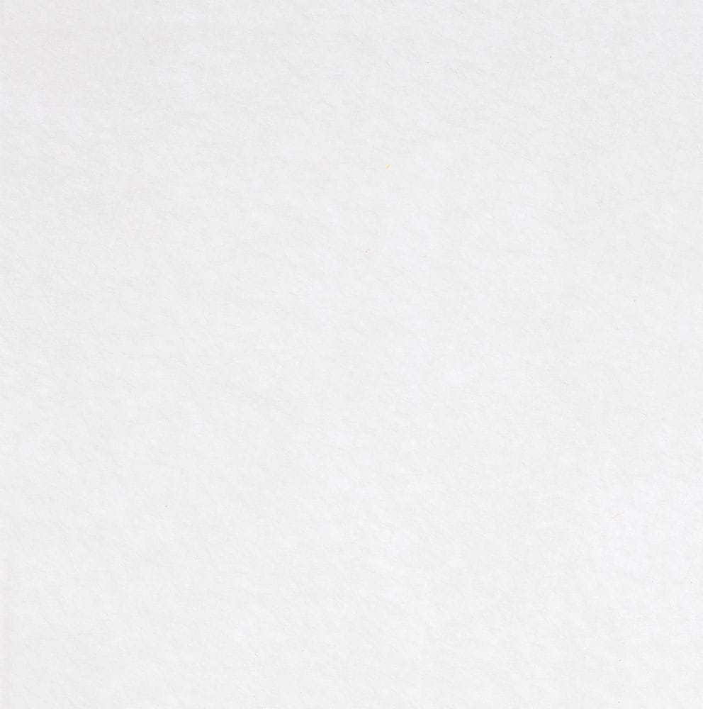 Заготовка из фетра Felt 600, белая с логотипом