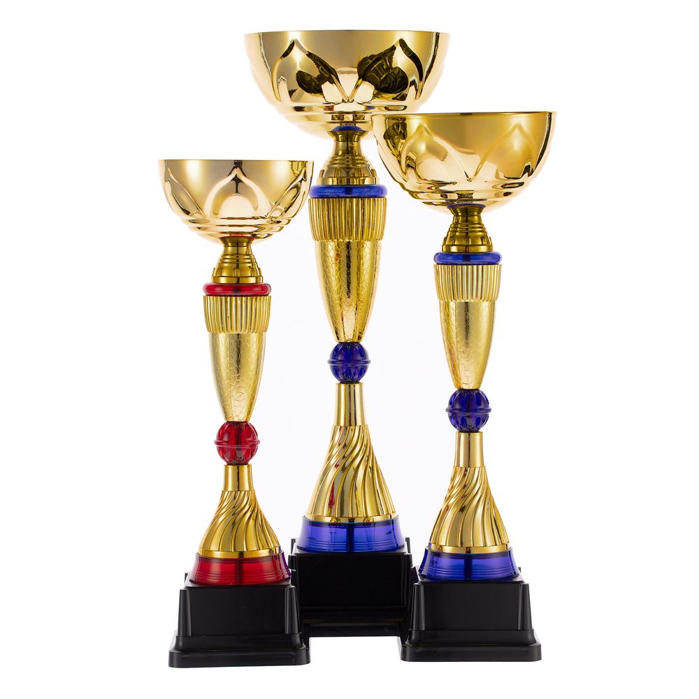 Кубок Awardee, большой, синий с логотипом