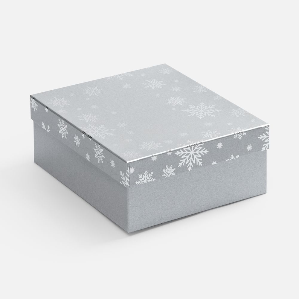 Коробка Wintry, серебристая с логотипом