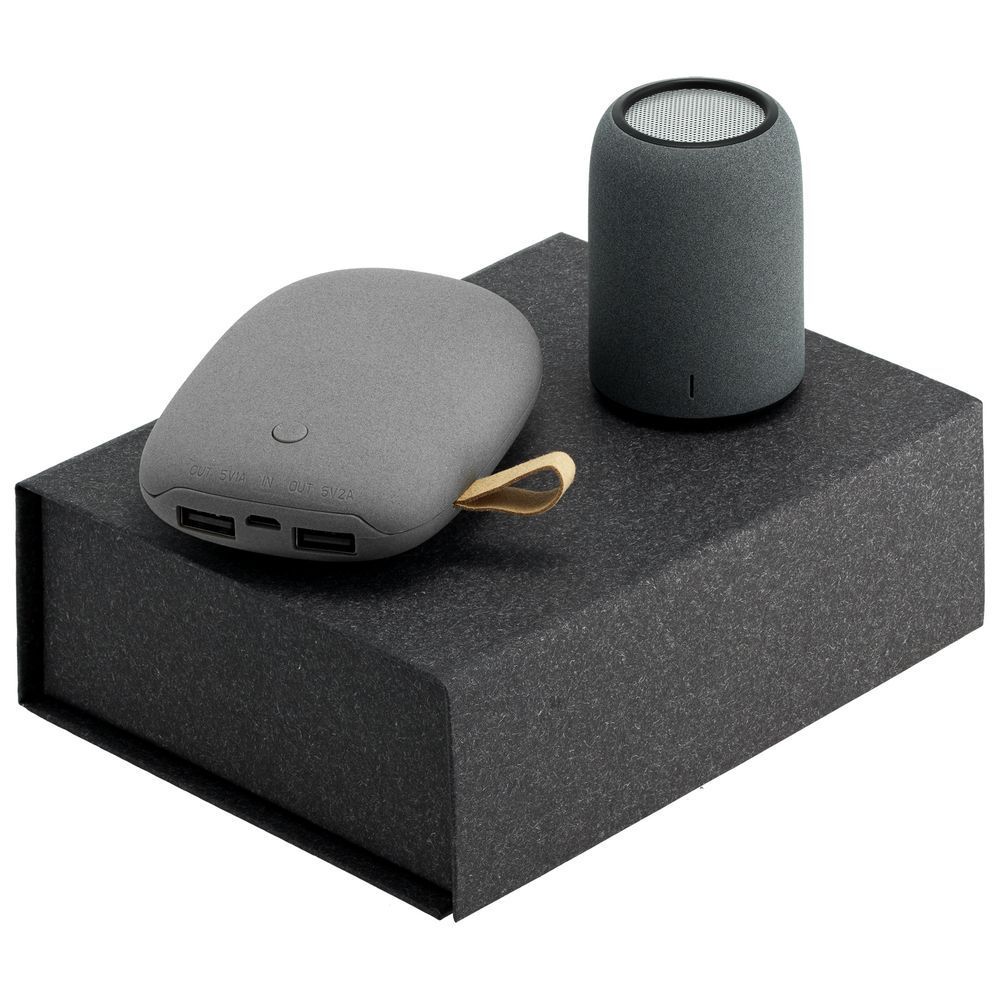 Набор Palm Beach, большой, ver.2, серый с логотипом