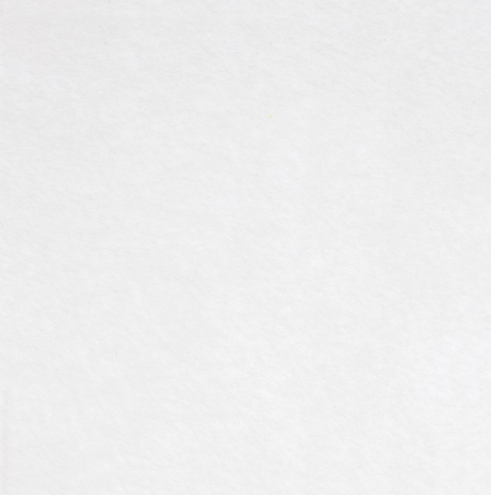 Заготовка из фетра Felt S, белая с логотипом