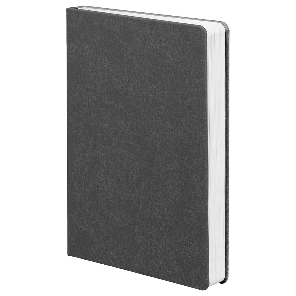 Ежедневник Basis, датированный, темно-серый с логотипом