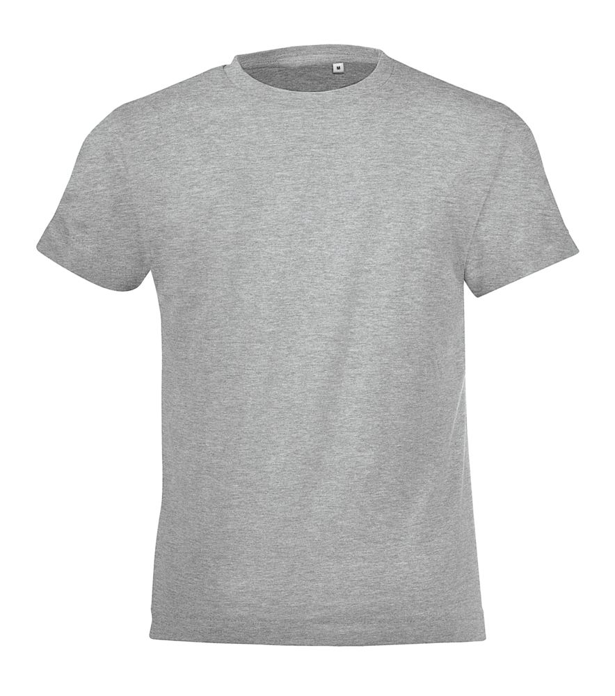 Футболка детская Regent Fit Kids, серый меланж с логотипом