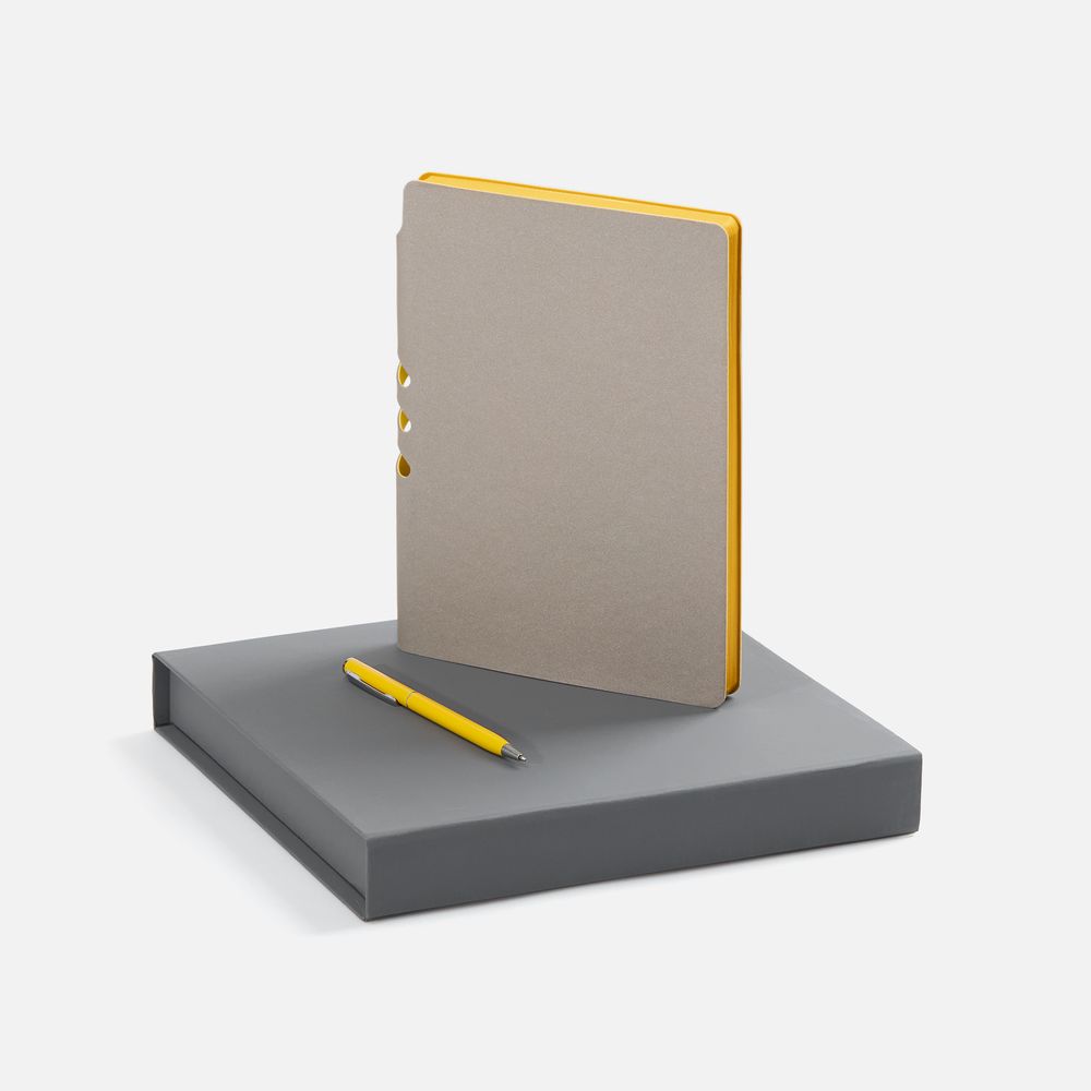 Набор Flexpen Grey, желтый с логотипом