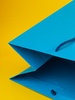 Пакет бумажный Porta L, голубой с логотипом