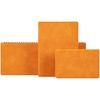 Ежедневник Urban, недатированный, оранжевый с логотипом