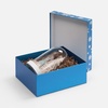 Коробка Wintry, синяя с логотипом