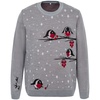 Джемпер Birds and Berries с логотипом