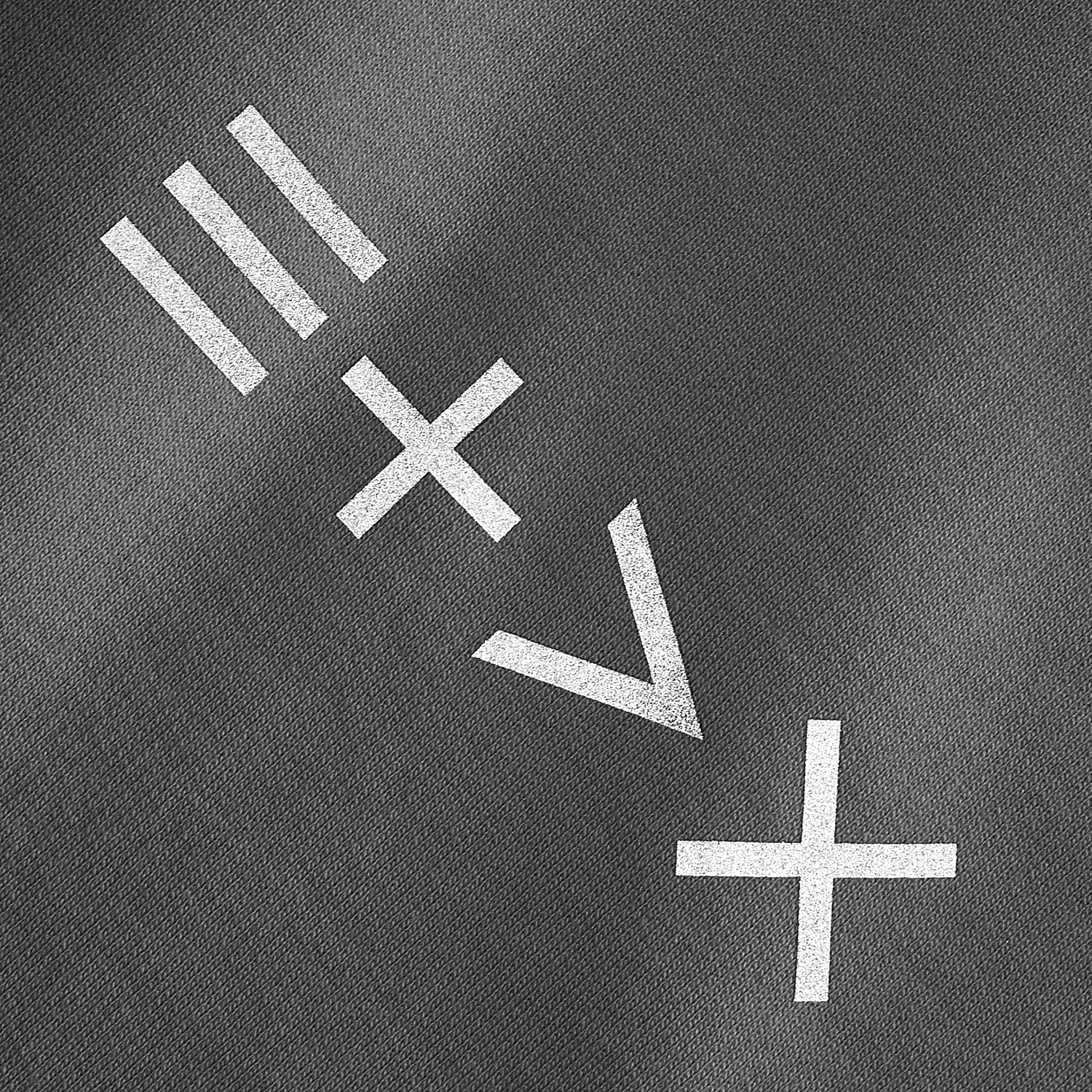 Толстовка унисекс Neofit, светло-серая с логотипом