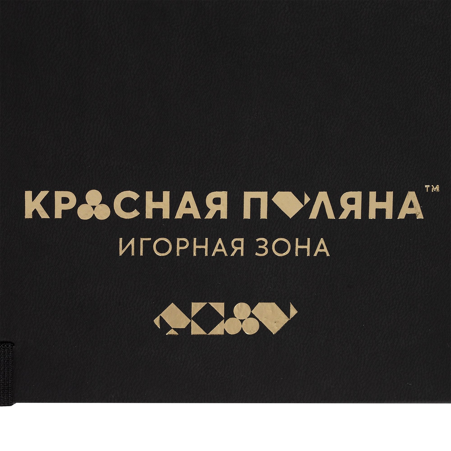 Ежедневник New Factor, недатированный, черный с логотипом