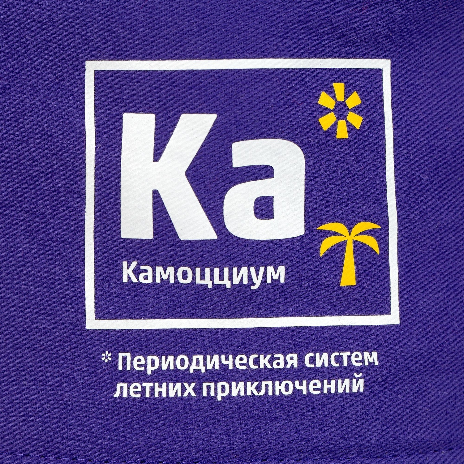 Панама Challenge, фиолетовая с логотипом