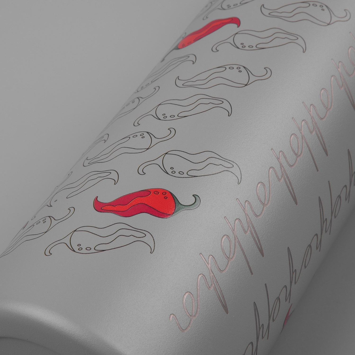 Термобутылка Bidon, серая с логотипом