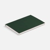 Ежедневник Flat Light ver.2, недатированный, зеленый с логотипом