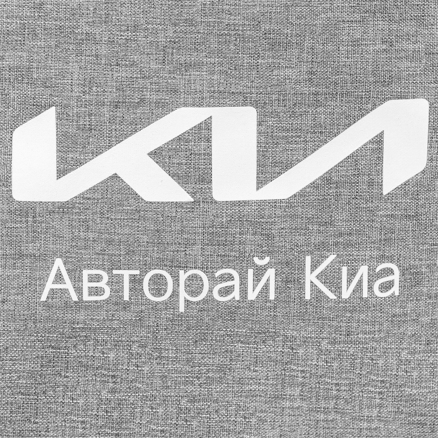 Рюкзак Locus, серый с логотипом