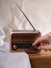 Bluetooth-колонка с радио Beatnik, коричневая с логотипом