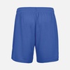 Шорты унисекс Thunder, ярко-синие (royal), размер S